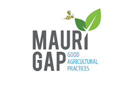 Made in Moris Logo