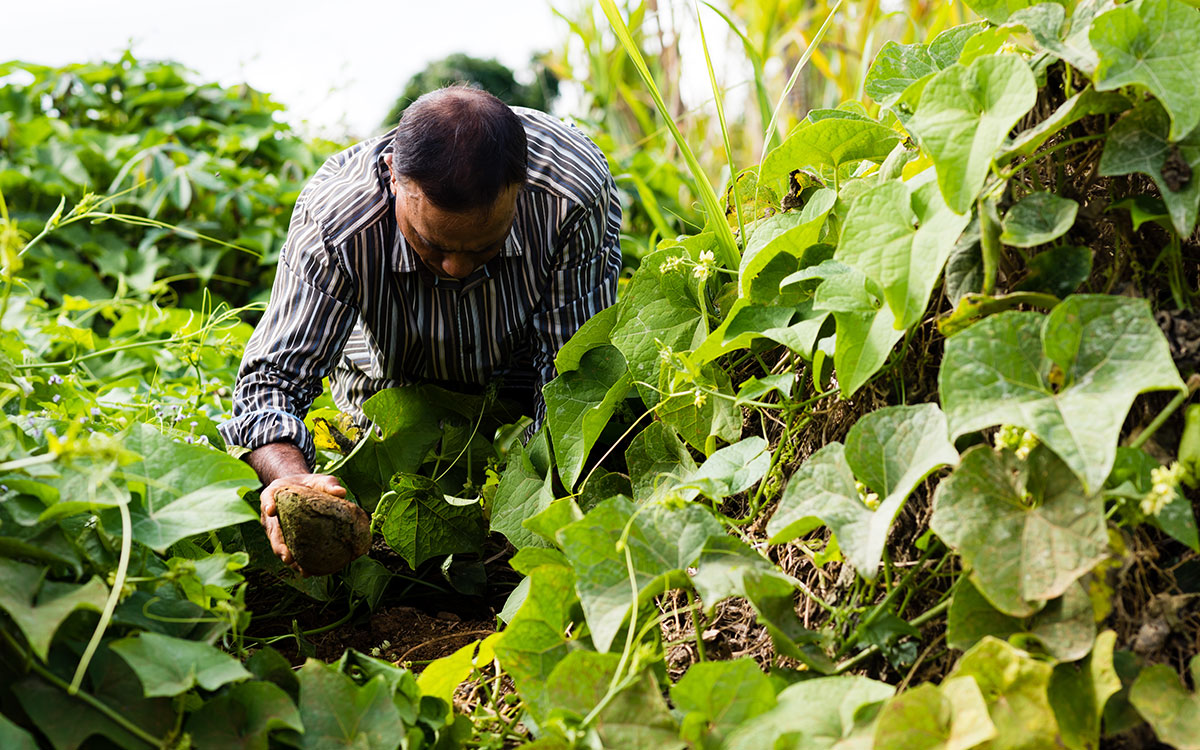 5 farmers at La Laura