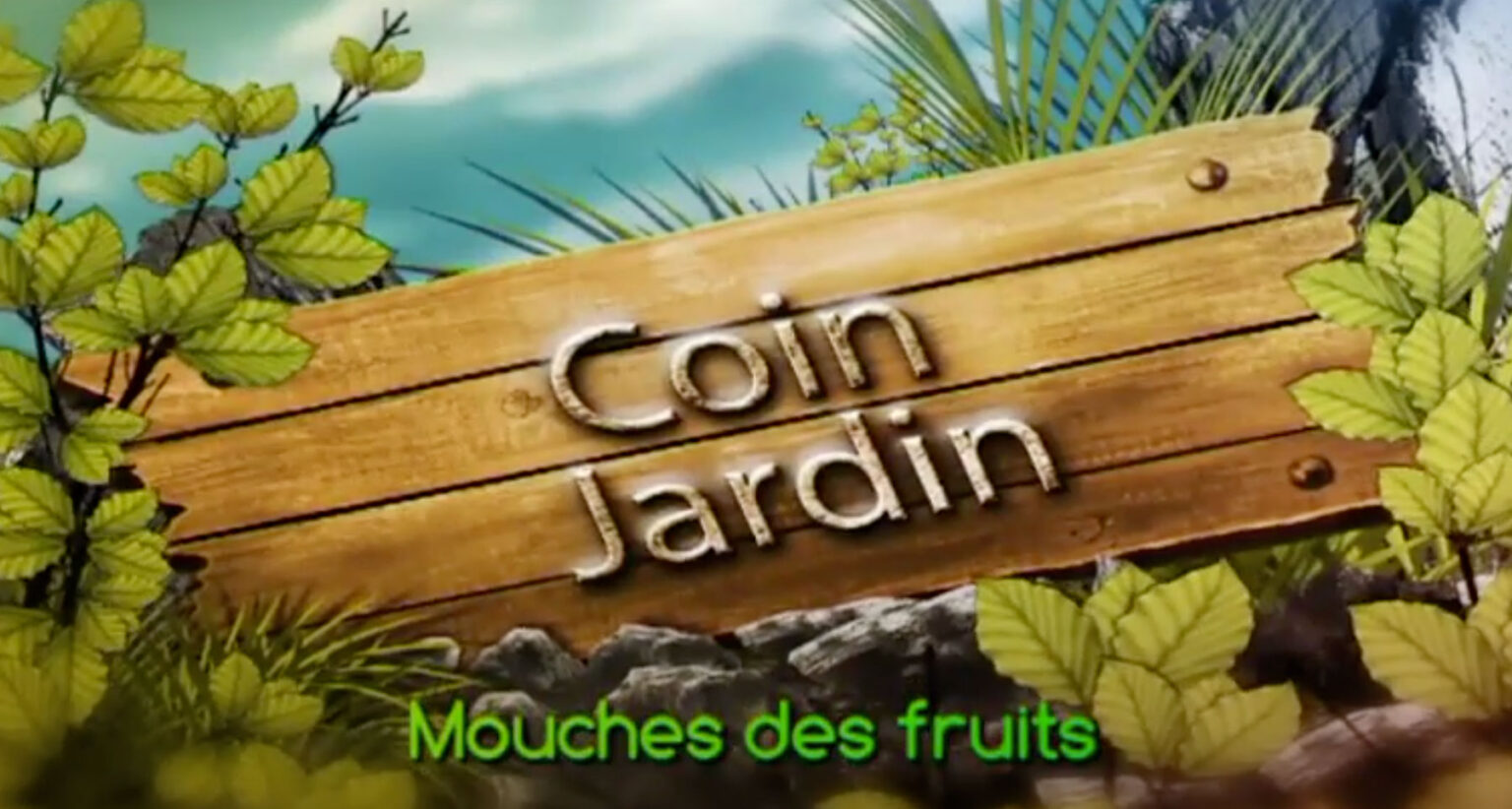 COIN JARDIN Mouches Des Fruits Mauritius Chamber Of Agriculture